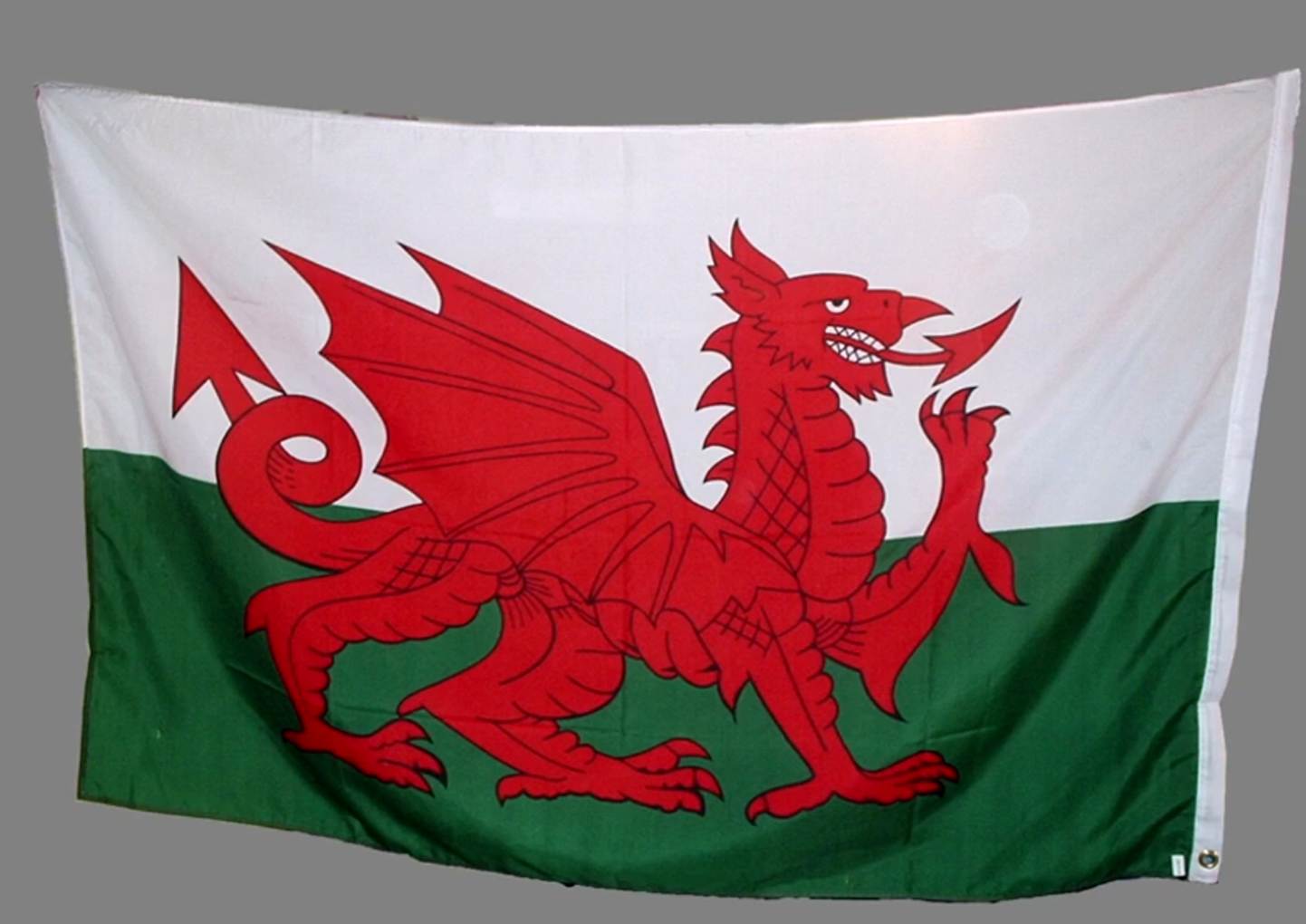 Description: Electric Dragon
Welsh Flag